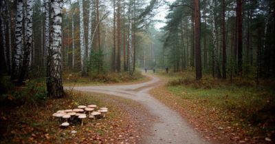 65-latkę odnaleziono po kilku godzinach poszukiwań